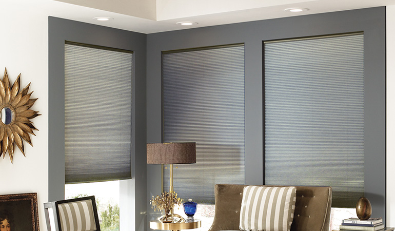 Elegant cellular shades provide bold colors and energy efficiency. Dark gray cellular shades in a corner of a living room.